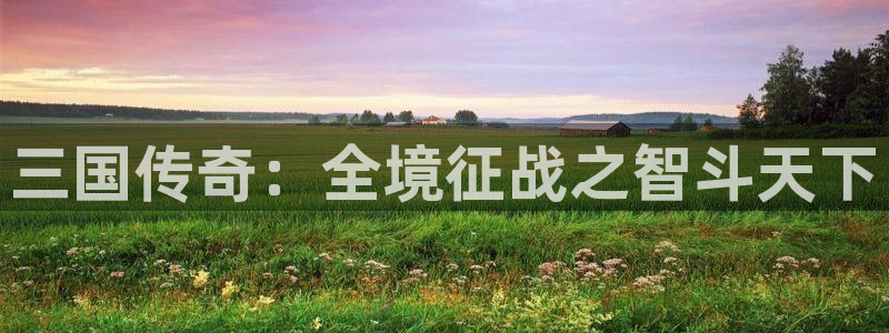 28大神官方开奖：三国传奇：全境征战之智斗天下