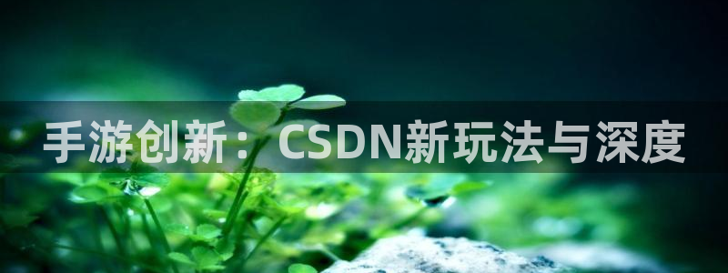 28大神v5.6.0：手游创新：CSDN新玩法与深度