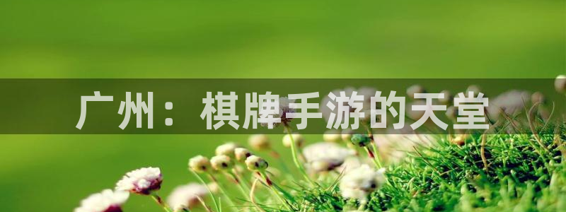 28大神2020：广州：棋牌手游的天堂