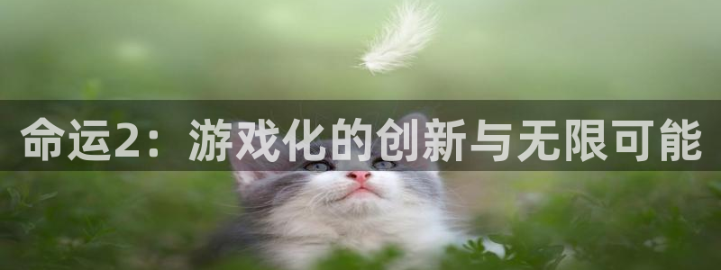 火狐电竞官方网站：命运2：游戏化的创新与无限可能