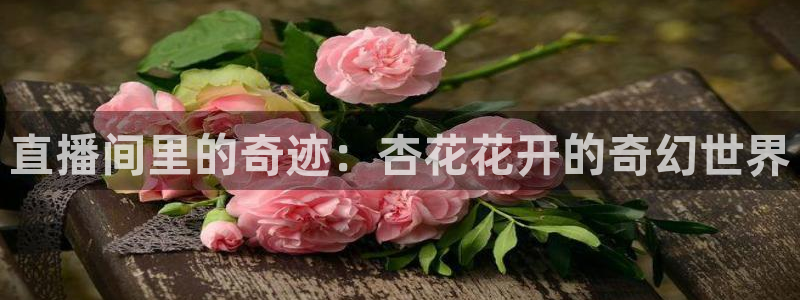 晨曦 五星体育：直播间里的奇迹：杏花花开的奇幻世界