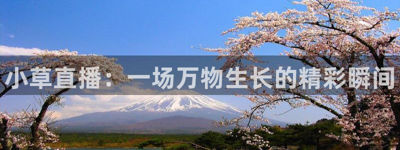 今天上海五星体育节目表：小草直播：一场万物生长的精彩瞬间