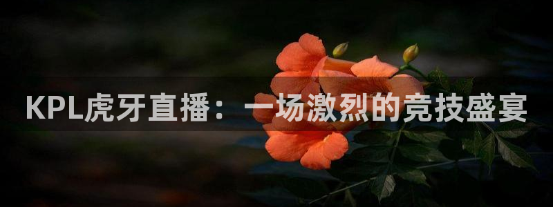 上海五星体育回放：KPL虎牙直播：一场激烈的竞技盛宴