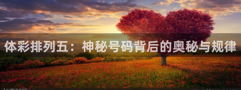 五星体育电视节目单：体彩排列五：神秘号码背后的奥秘与规律