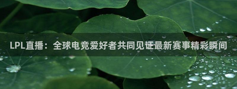 周浩然离开五星体育：LPL直播：全球电竞爱好者共同见证最新赛事精彩瞬间