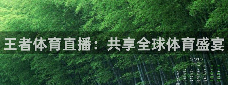 上海广播电视台五星体育频道：王者体育直播：共享全球体育盛宴