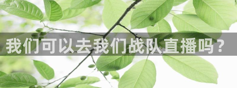 哪个软件可以看五星体育频道：我们可以去我们战队直播吗？