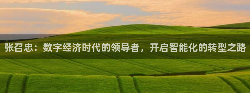 周浩然离开五星体育：张召忠：数字经济时代的领导者，开启智能化的转型之路