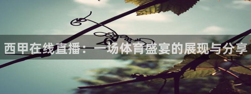 五星体育张蕾：西甲在线直播：一场体育盛宴的展现与分享